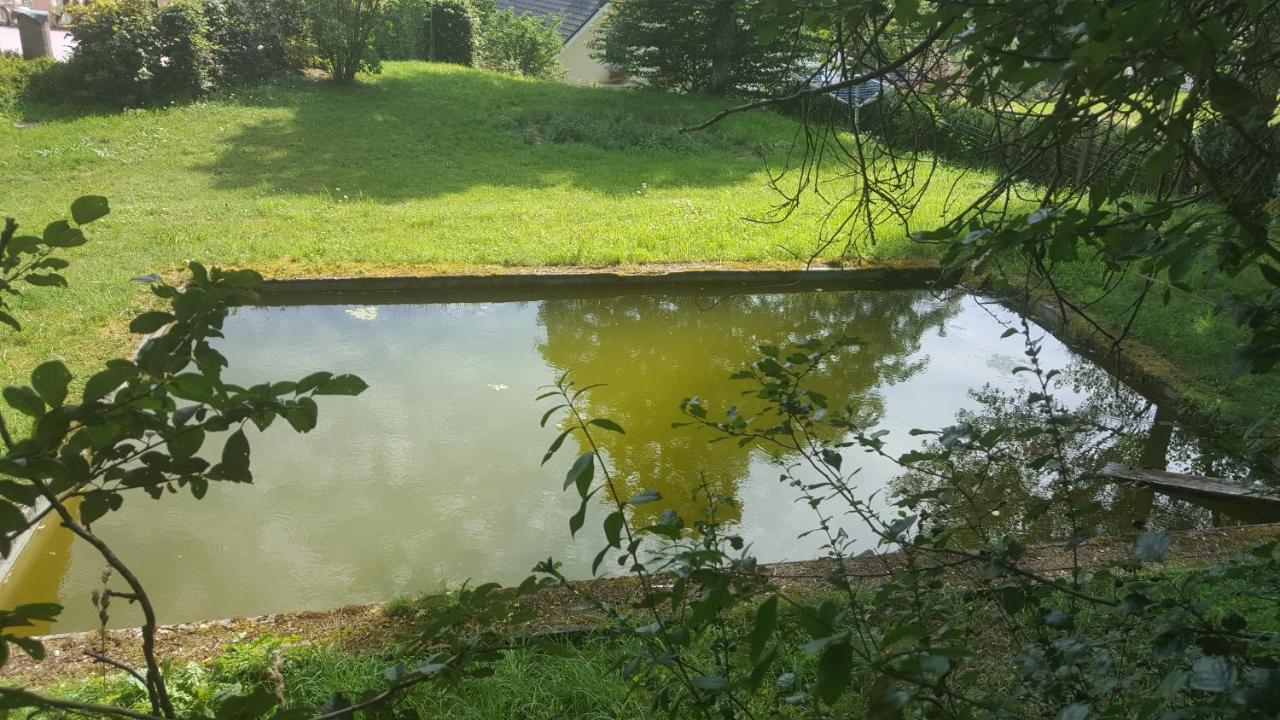 Die Alte Schule App St. Vith Exteriör bild