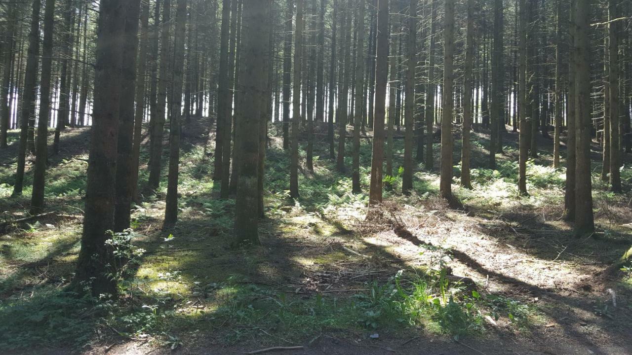 Die Alte Schule App St. Vith Exteriör bild