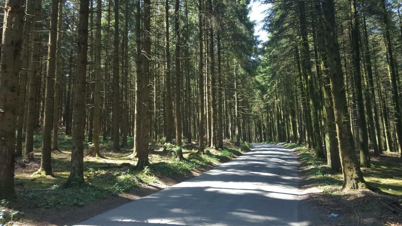Die Alte Schule App St. Vith Exteriör bild